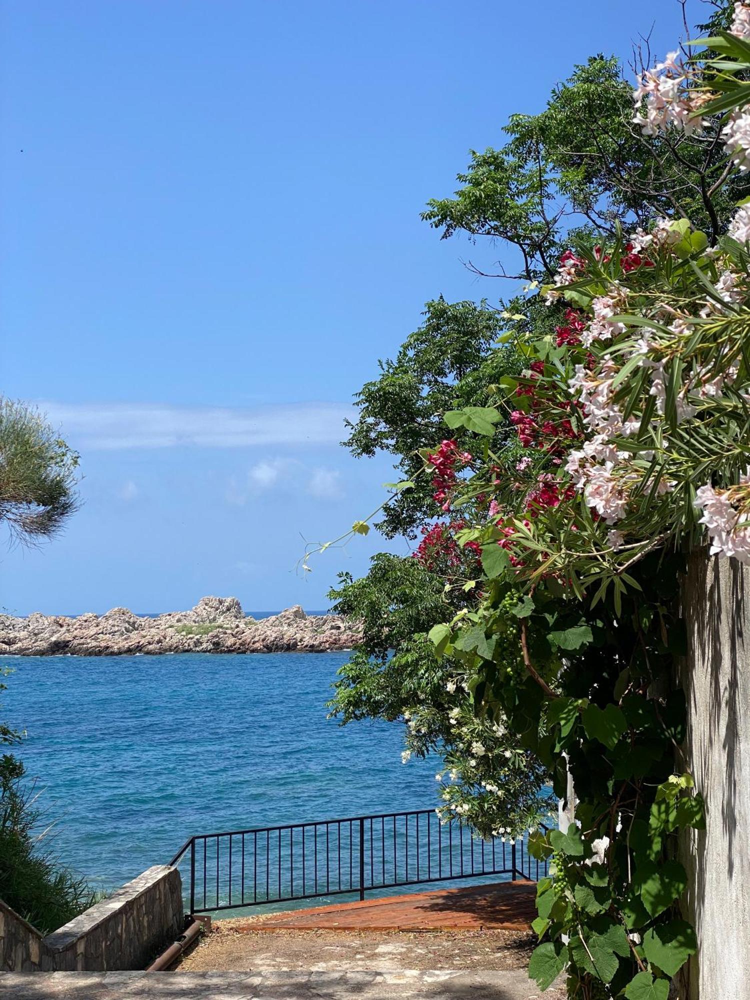Adriatic Masterpiece #33 Apartment